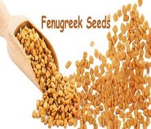 Fenugreek Oil