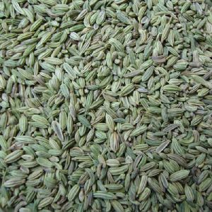 Fennel Seeds