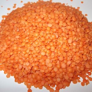 Red Lentils