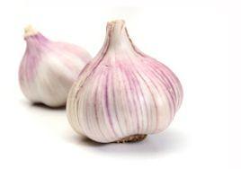 Garlic