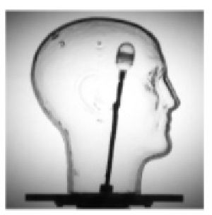 RSVP Head Phantom