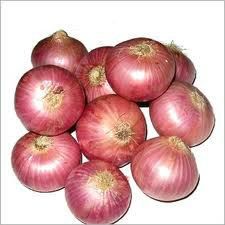 Onion