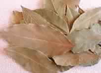 Bay Leaves