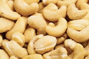 cashew processing plant