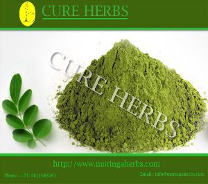 Moringa Dry Leaf Powder