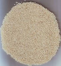 All Type Of Sesame Seeds