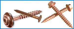 Copper Screws