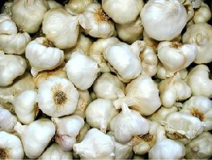 Garlic and Peeled Garlic And garlic powder and garlic oil