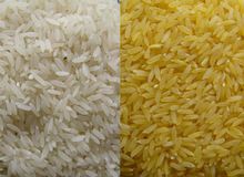 Basmati rice