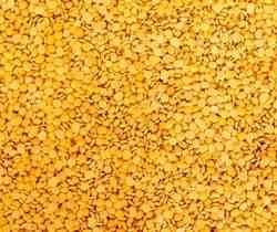Best Quality Toor Dal