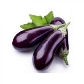 Fresh Eggplant