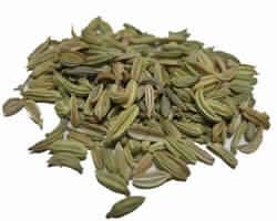 Fennel Seed