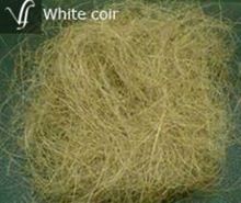 white coir fiber