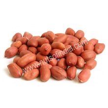 Organic Bold Raw Peanuts