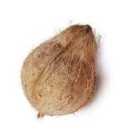 Coconut