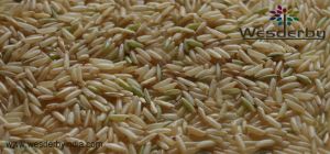 Parmal Brown Rice