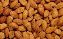 almonds kernel