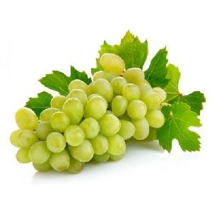 Indian Green Grapes