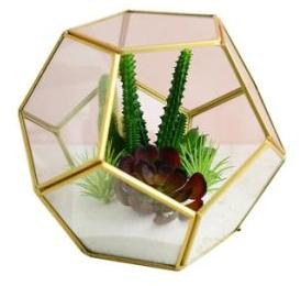 Home Drawing Room Decorative Glass Terrarium