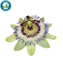 Organic Passion Flower Oil for Skin