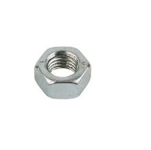 Hex Nut