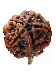 Ganesha Rudraksha