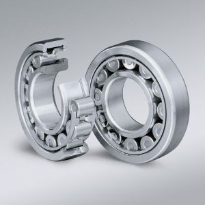 Cylindrical Bearings