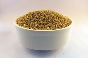 Quinoa