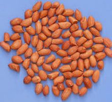 BLANCHED KERNELS