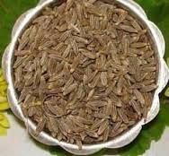 Cumin Seed