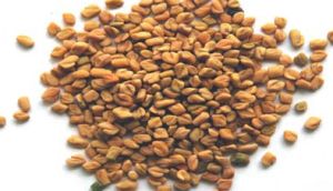 Fenugreek Seeds