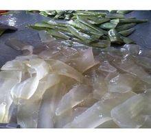 aloevera pulp