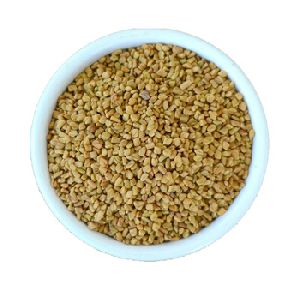 Fenugreek Seed