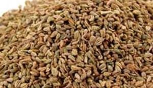 Ajwain Seed