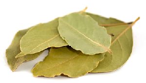 Bay Leaves