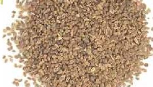 Celery Seed