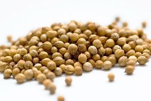 Coriander Seeds