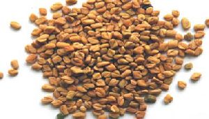 Fenugreek Seeds