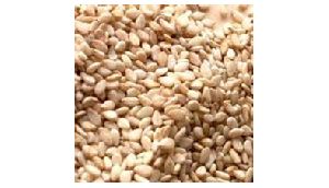 Roasted Hulled Sesame Seeds