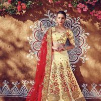 Heavy Embroidered Bridal Wedding Lehenga Choli