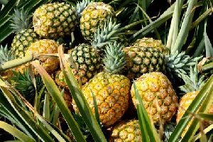 natural pineapple