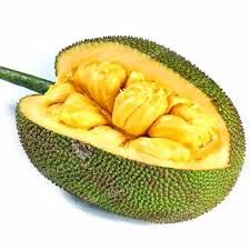 Organic Jackfruit