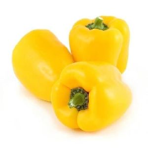 Fresh Yellow Capsicum