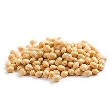 soya bean seed