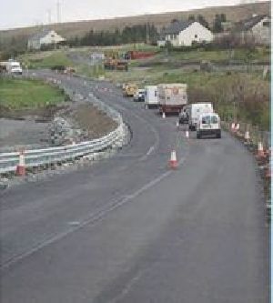 Polyester Geogrid