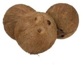 Pollachi Coconuts