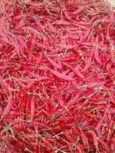 Teja Red Chilli