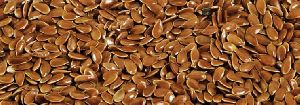 Flax Seed/Lin Seed