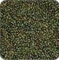 Sesbania Seed