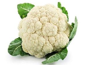 Natural Cauliflower